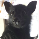 cemeterycrawlerhurghh avatar