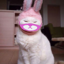 cemeterywatchmann avatar