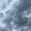 cerejasilvestres avatar