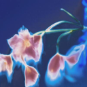 certified-twintail-tsundere avatar