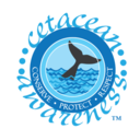 cetaceanawareness avatar