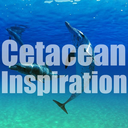 cetaceaninspiration avatar