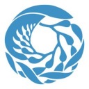 cetaceanops avatar