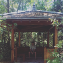 chamomile-kai avatar