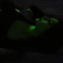 champagnedarknime avatar