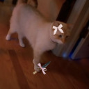 chanelmonamour avatar