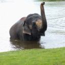 changed-for-good avatar