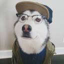 changeofaggression avatar