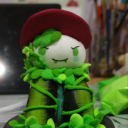 chaotic-anonymous avatar