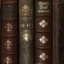 chaotic-darkacademic avatar