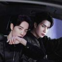 chaoticcactiexpert avatar