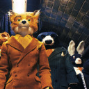 chaoticfoxsworld avatar