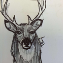 charcoalondeadtrees avatar