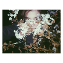 charleewestwood avatar