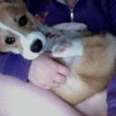 charlestonchewbearz avatar