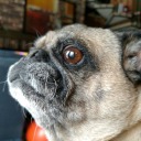 charliemarlow avatar