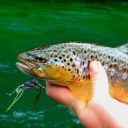 charlottecreekcustomrods avatar