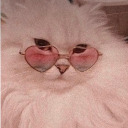 charlottejamesclarke avatar