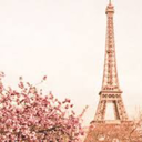 chasingunicorn avatar