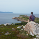 chasingvestigialtail avatar