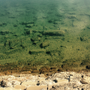 cheerswiftie13 avatar