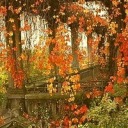 cheeseburgerdanvers avatar