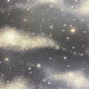 cheetahprintprincess avatar