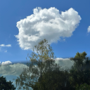 chefgonnafedu avatar