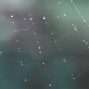 chemical-antics avatar