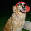 chemicaleater avatar