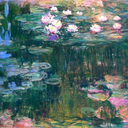 cherry-blossom--dan avatar