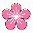 cherryblossom-store avatar