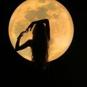 cherryeclipses avatar