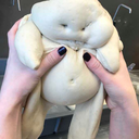 cherryzcented avatar