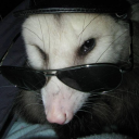 cheschesterpossum avatar