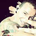 chesteralways avatar