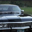 chevroletimpala-67 avatar