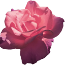 chewy-pretzel avatar