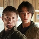 chickennuggetgoatcheeseplant avatar