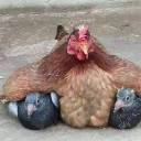 chickenpantaloons avatar