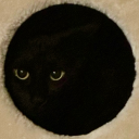 chiefaccelerator avatar