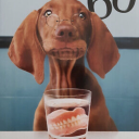 chiefpuppybread avatar