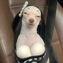 chihuahuawithboobs avatar