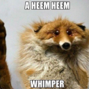 childanddamselfly avatar