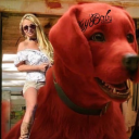 chillstableguy avatar