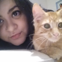 chinchillahatter avatar