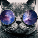 chirpinchikadee avatar