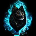 chitownwolf avatar