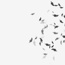 chloeisonfire avatar