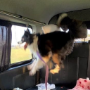 chloes-pretty-cool avatar